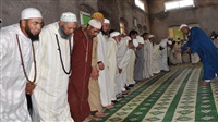 »Der Sufismus Vertrag»