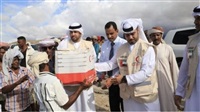 Intensive emiratische