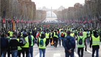 Zahl der Demonstranten