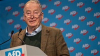 Die AfD wird vom