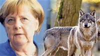 Merkel macht die