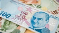 Die türkische Lira