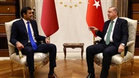 Erdogan und Tamim